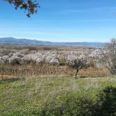 Kır Evi 3 Negrillas *